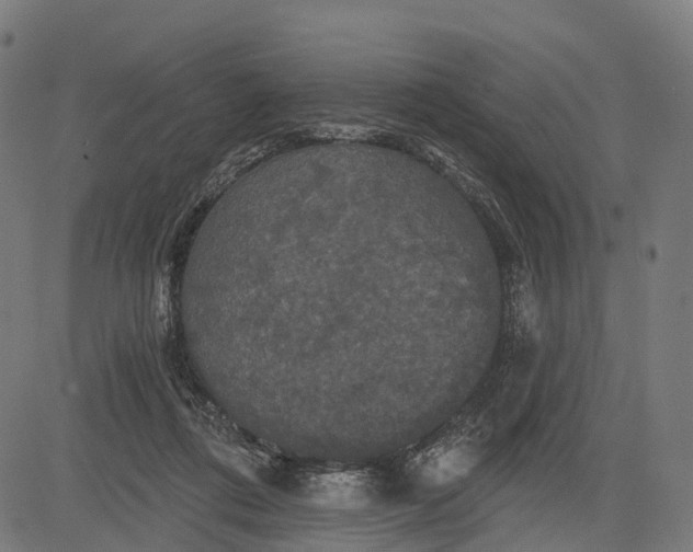 X0000084520312200703091609