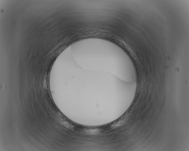 X0000084520313200703091609