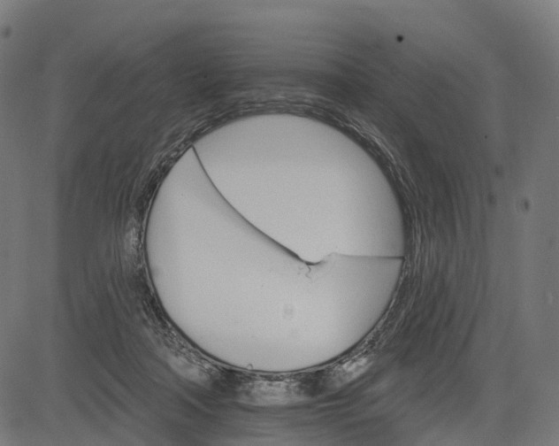 X0000084520314200703091609