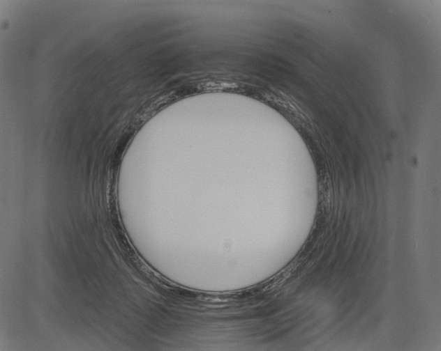 X0000084520315200703091609