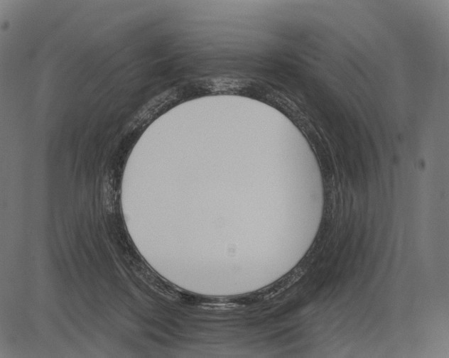 X0000084520316200703091609