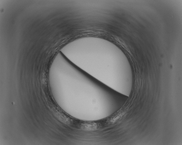 X0000084520317200703091609