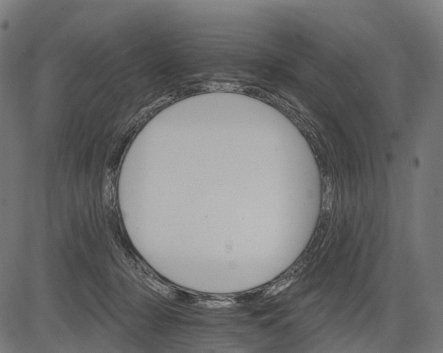 X0000084520318200703091609