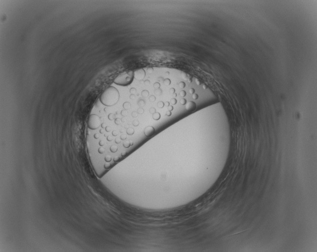 X0000084520319200703091609