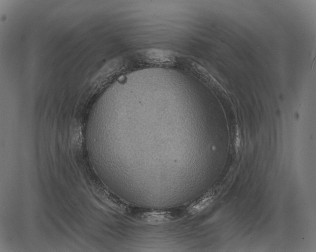 X0000084520320200703091609