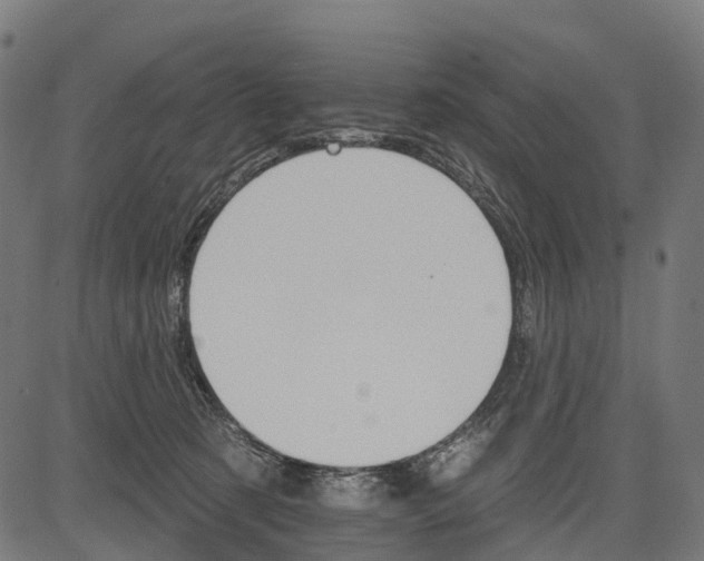 X0000084520321200703091609