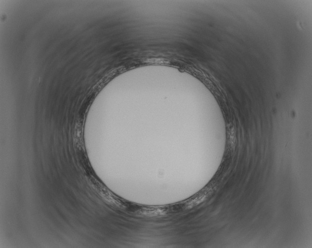 X0000084520322200703091609