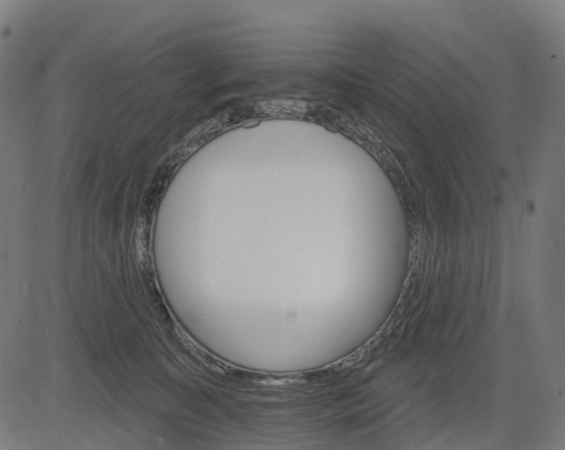 X0000084520323200703091609