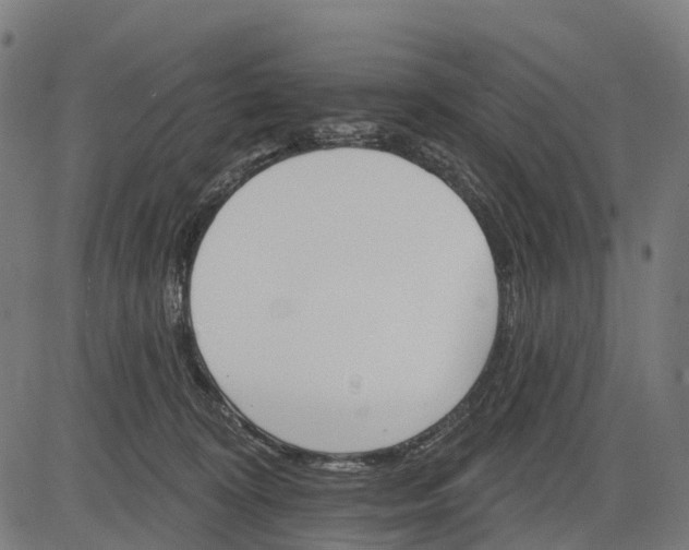 X0000084520324200703091609