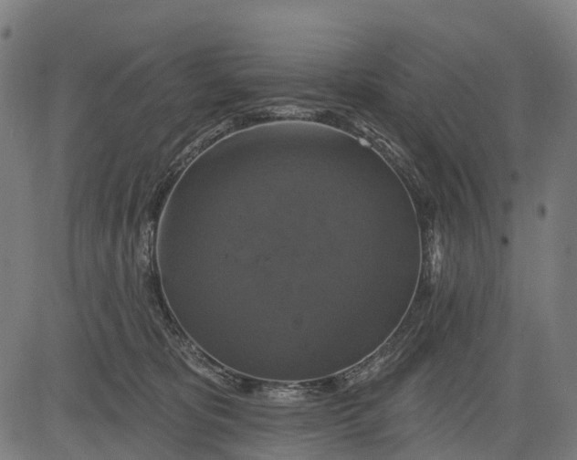 X0000084520325200703091609