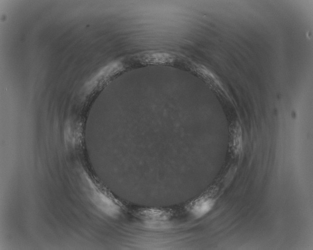 X0000084520326200703091609