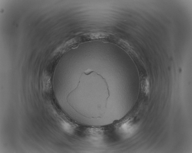 X0000084520327200703091609