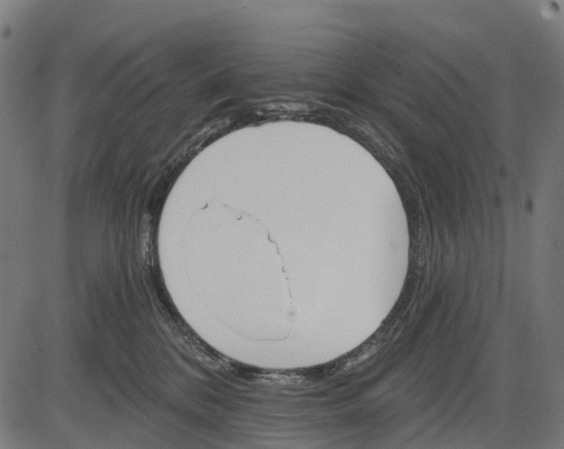 X0000084520328200703091609