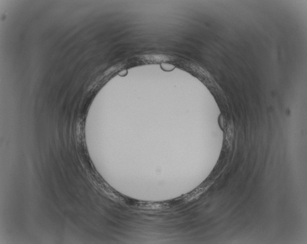 X0000084520330200703091609