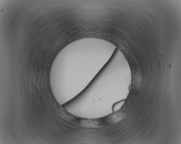 X0000084520331200703091609