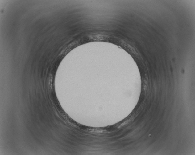 X0000084520332200703091609