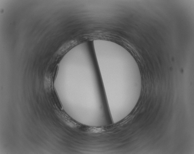 X0000084520333200703091609