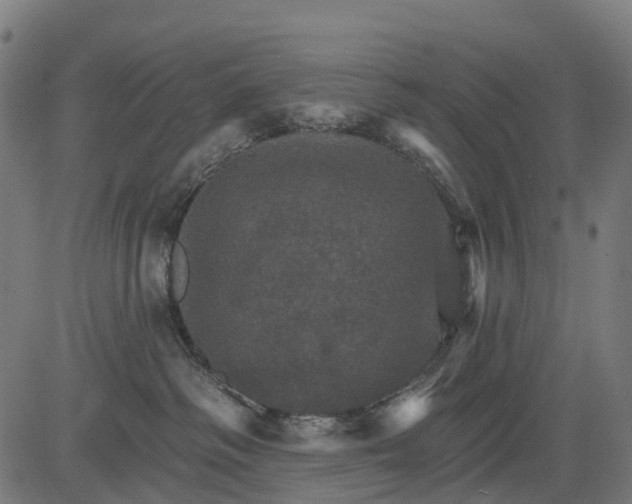 X0000084520334200703091609