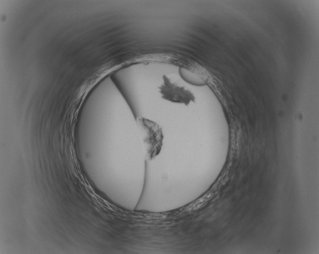 X0000084520337200703091608