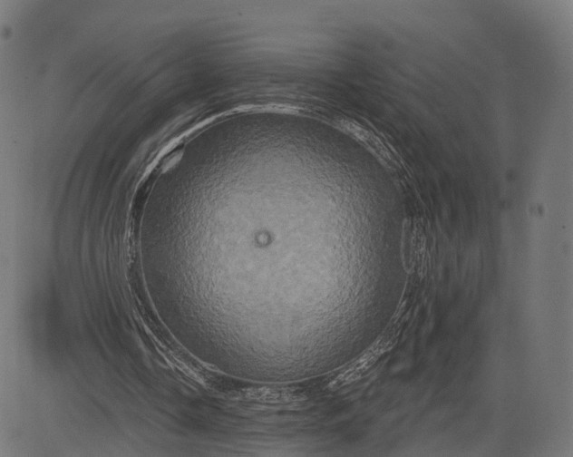 X0000084520338200703091608