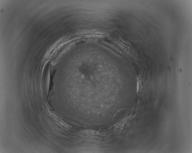 X0000084520339200703091608