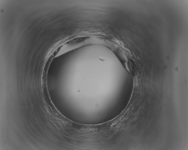 X0000084520340200703091608