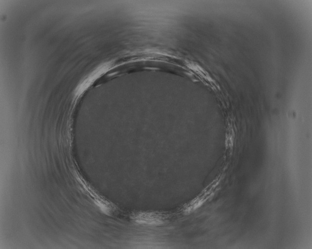 X0000084520341200703091608