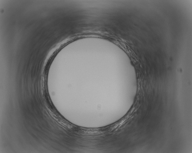 X0000084520342200703091608