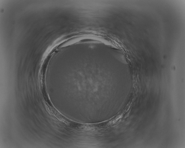 X0000084520343200703091608