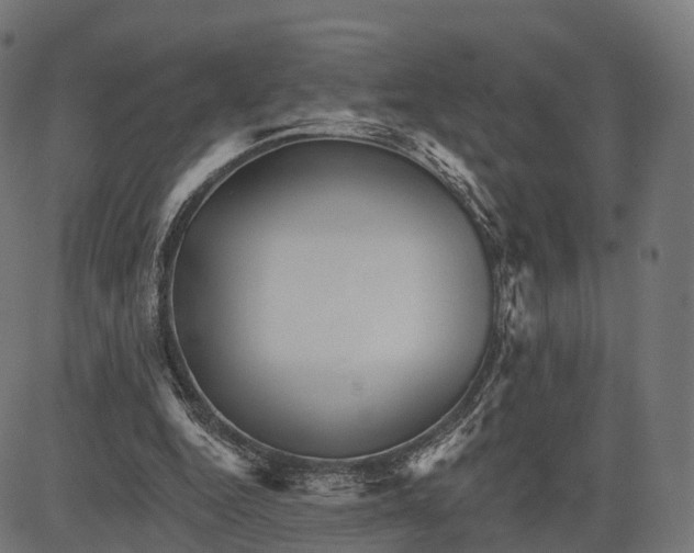 X0000084520344200703091608