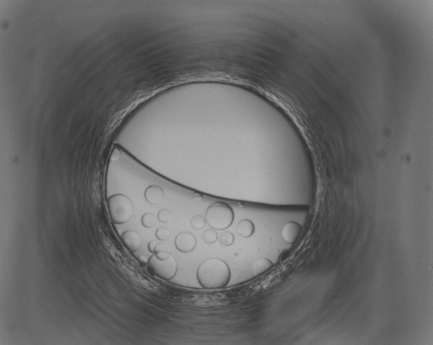 X0000084520345200703091608