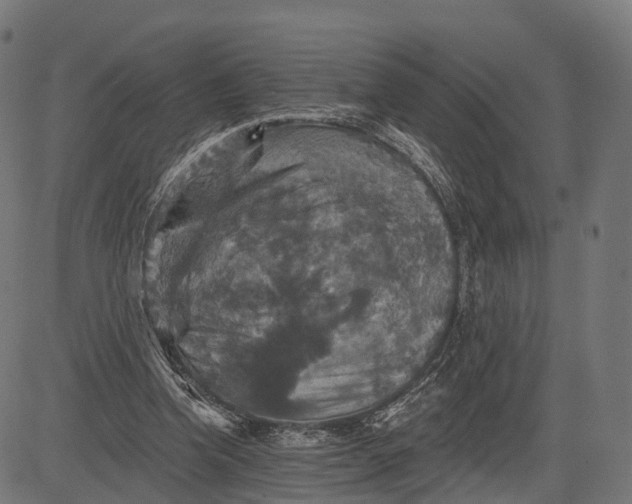 X0000084520346200703091608