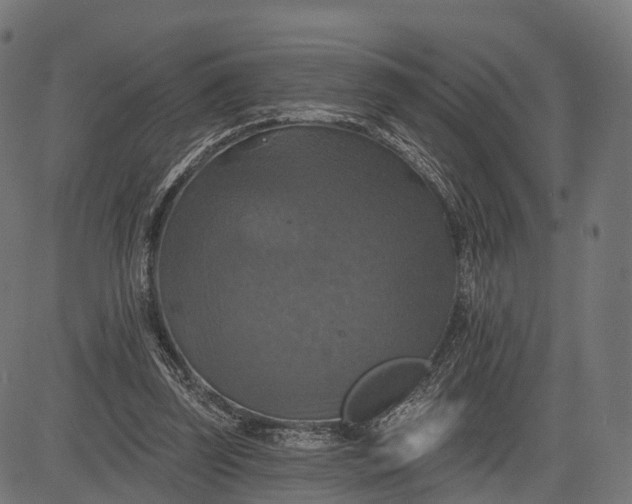 X0000084520347200703091608