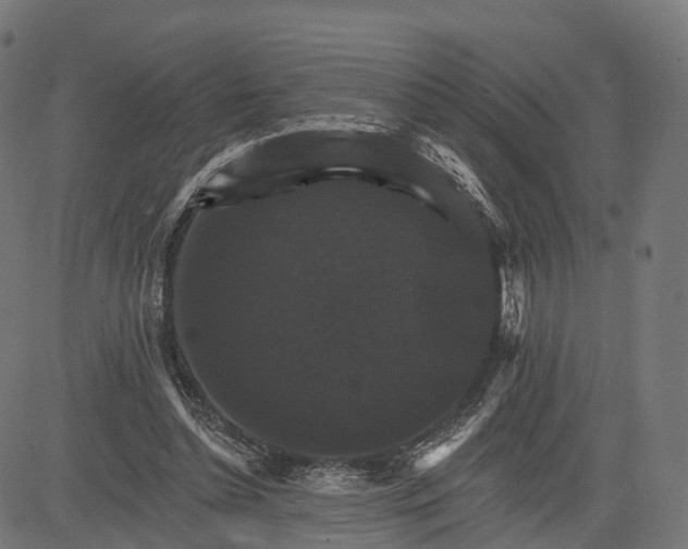 X0000084520348200703091608