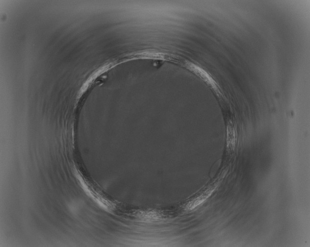 X0000084520349200703091608