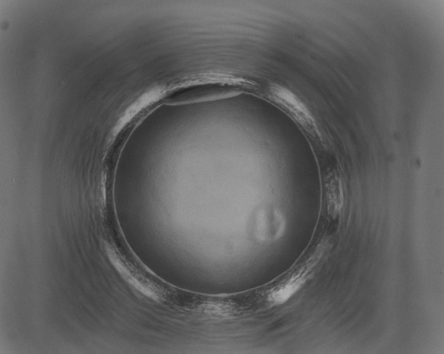 X0000084520350200703091608