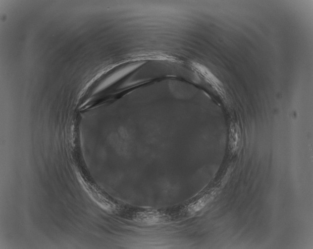 X0000084520351200703091608