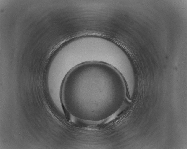 X0000084520352200703091608