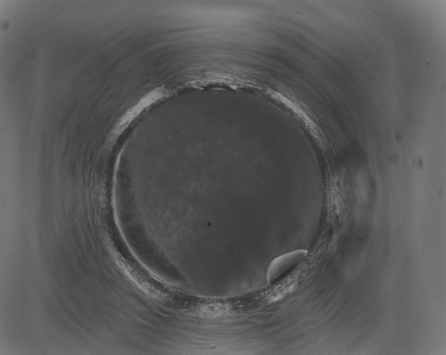 X0000084520353200703091608