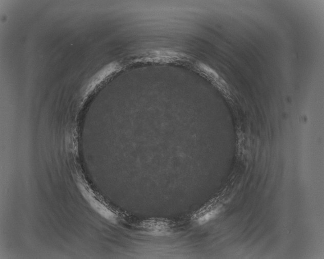 X0000084520354200703091608