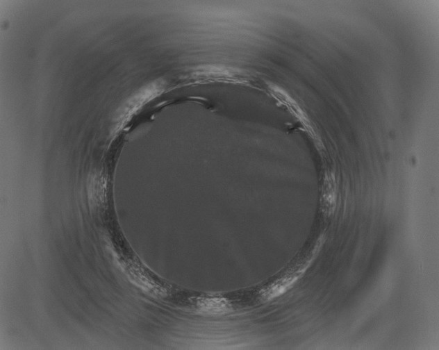 X0000084520355200703091608