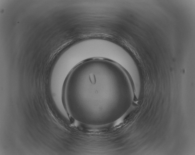 X0000084520356200703091608