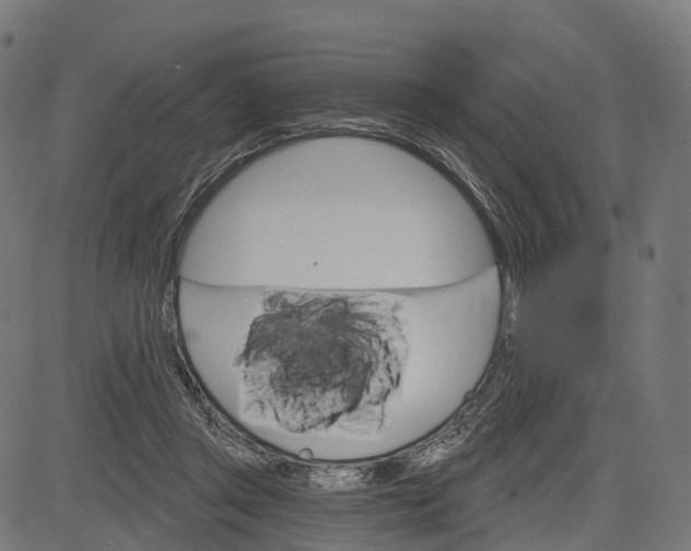 X0000084520357200703091608