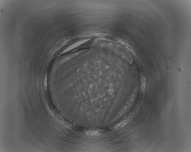 X0000084520358200703091608