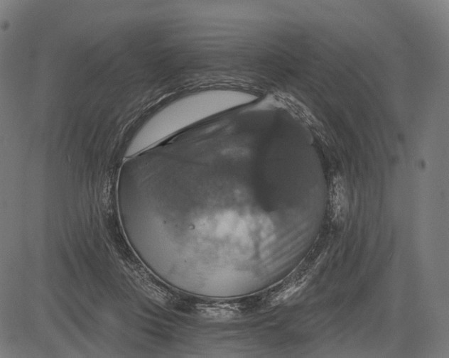 X0000084520359200703091608