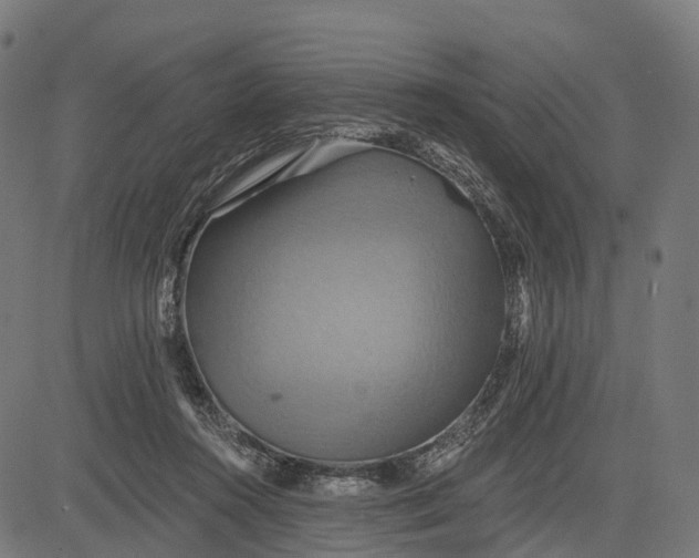 X0000084520360200703091608