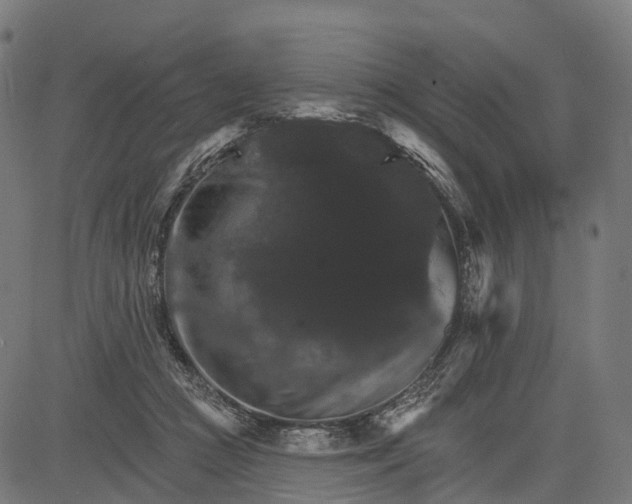 X0000084520361200703091608