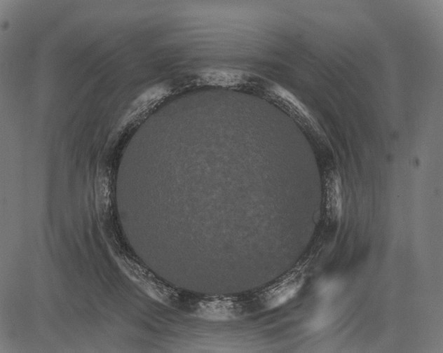 X0000084520362200703091608