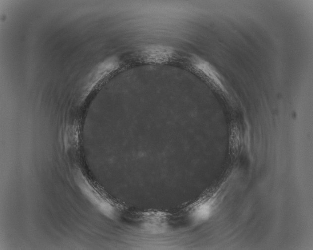 X0000084520363200703091608