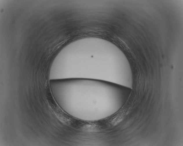 X0000084520364200703091608